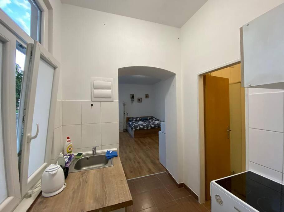 Cozy 1 Bedroom Studio In The Center Of Pilsen Екстер'єр фото