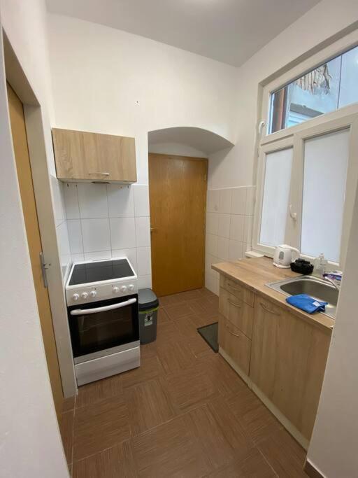 Cozy 1 Bedroom Studio In The Center Of Pilsen Екстер'єр фото